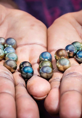 Savusavu and Surrounds - Pearls