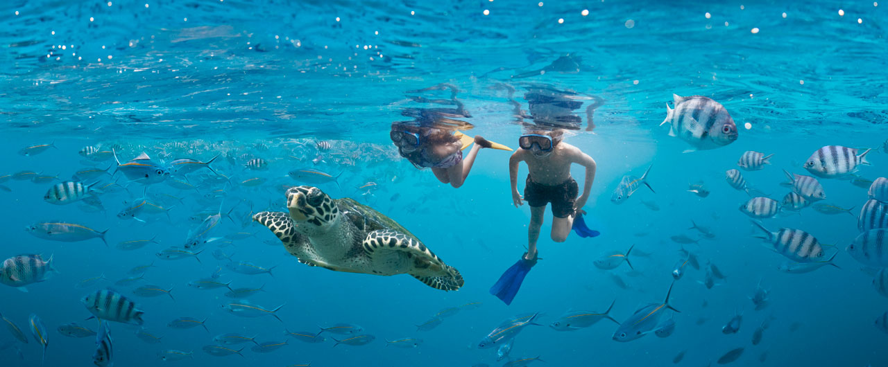 The Ultimate Fiji Snorkelling Guide