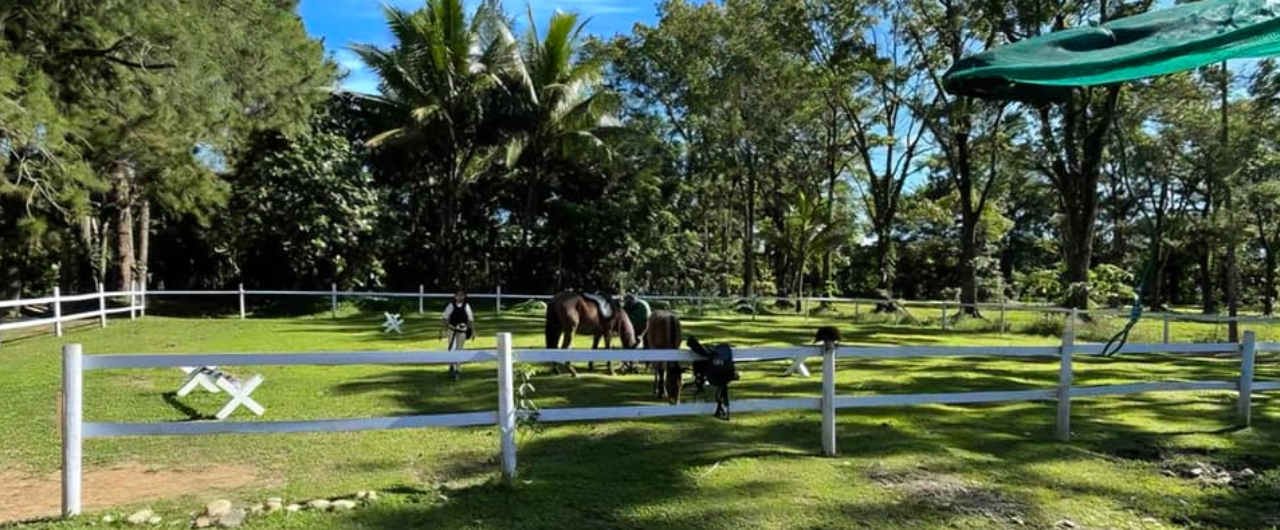 The Horse Sanctuary