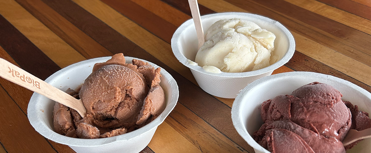 Organic Fruit Sorbets, Taveuni