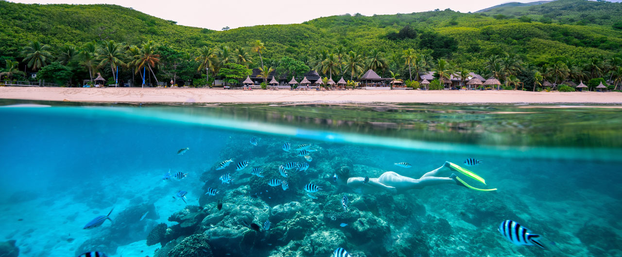 Snorkel with Fascinating Fiji Reef Creatures