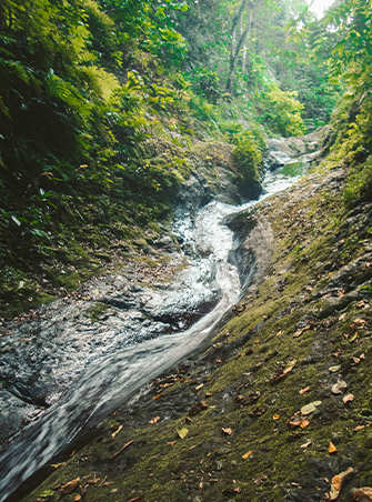 Waitavala Water Slide