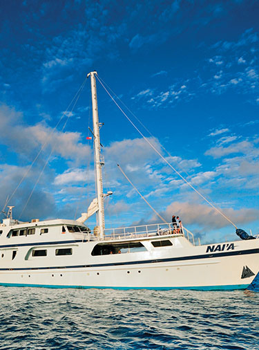 Go on a Fiji Dive Cruise