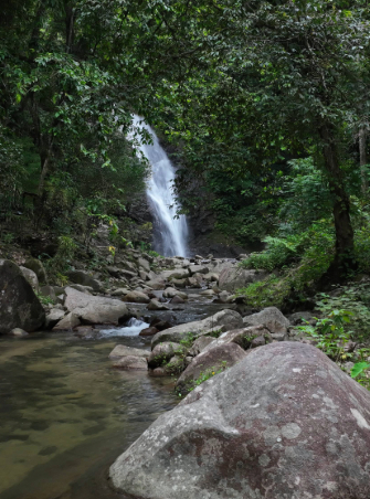 Biausevu Waterfall