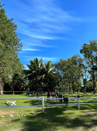 The Horse Sanctuary