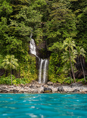 Fiji's Best Waterfalls
