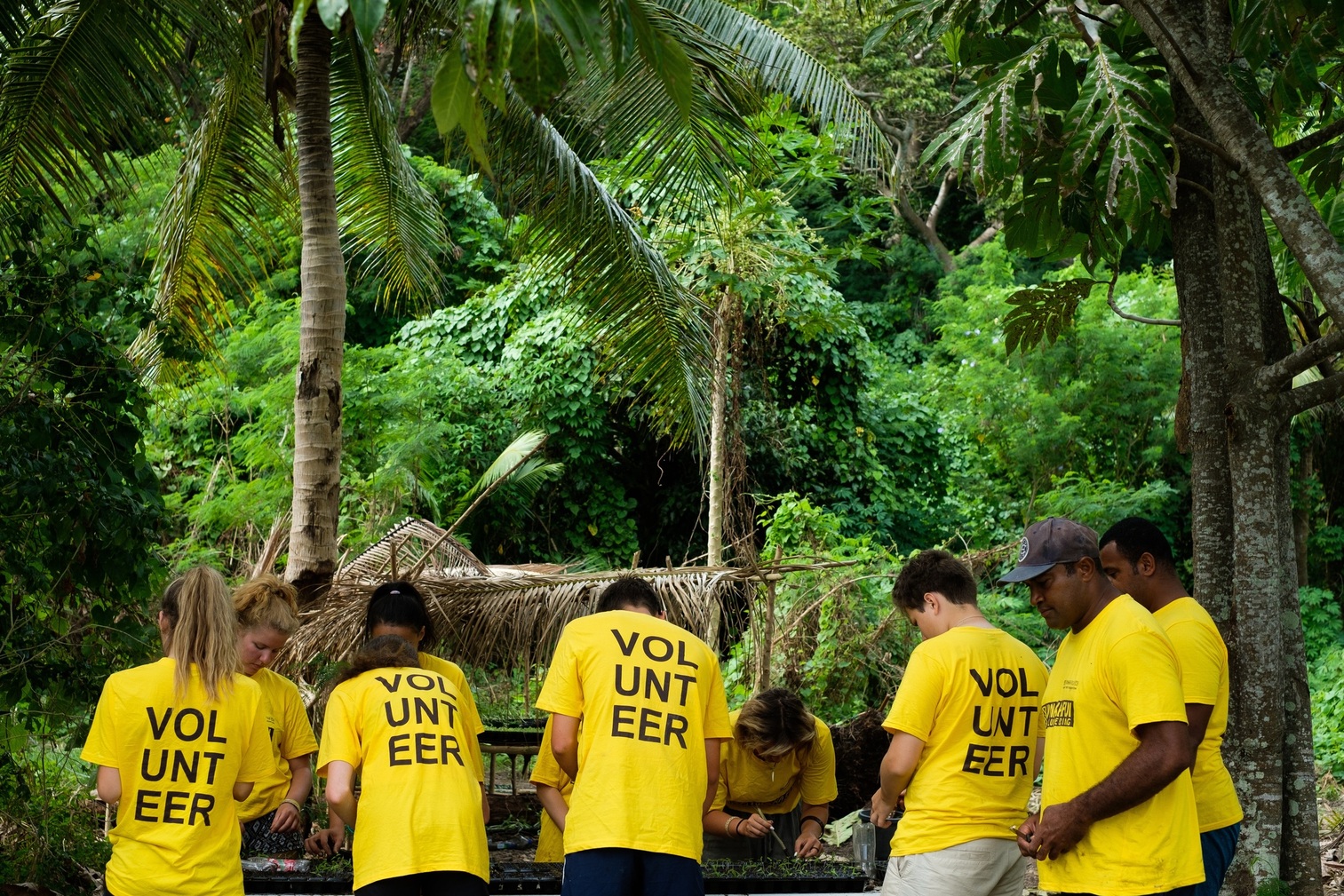 Volunteer in Fiji